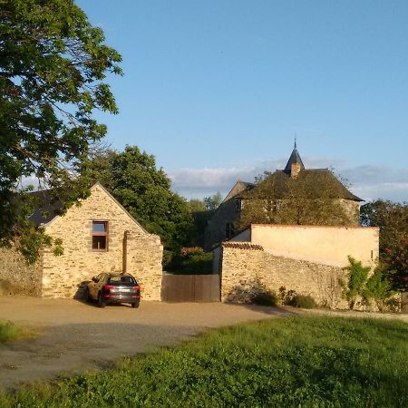 Chateau De Chanze Faye-d'Anjou Bagian luar foto