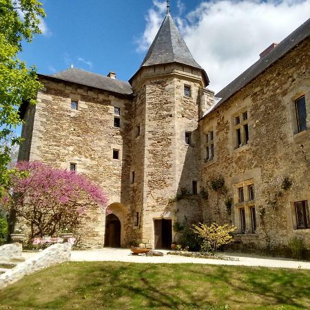 Chateau De Chanze Faye-d'Anjou Bagian luar foto