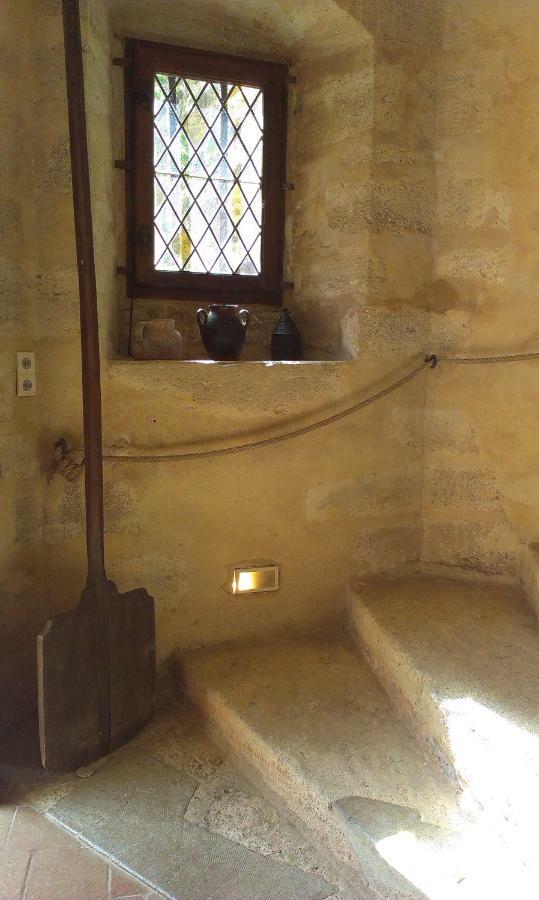 Chateau De Chanze Faye-d'Anjou Bagian luar foto