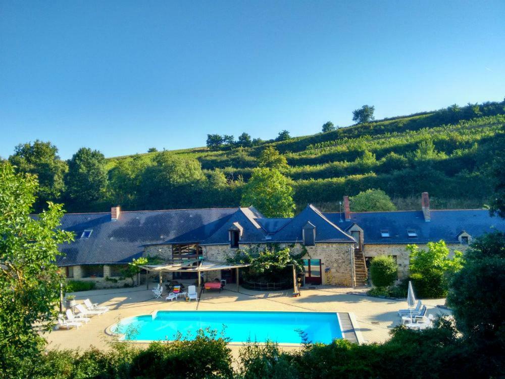 Chateau De Chanze Faye-d'Anjou Bagian luar foto